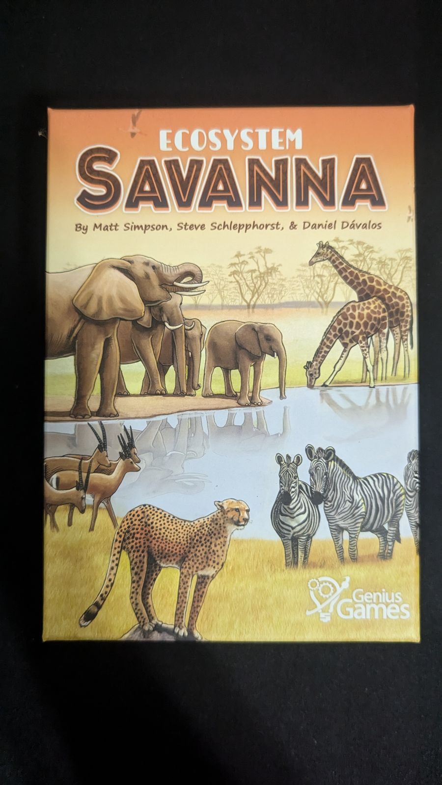 Ecosystem: Savanna
